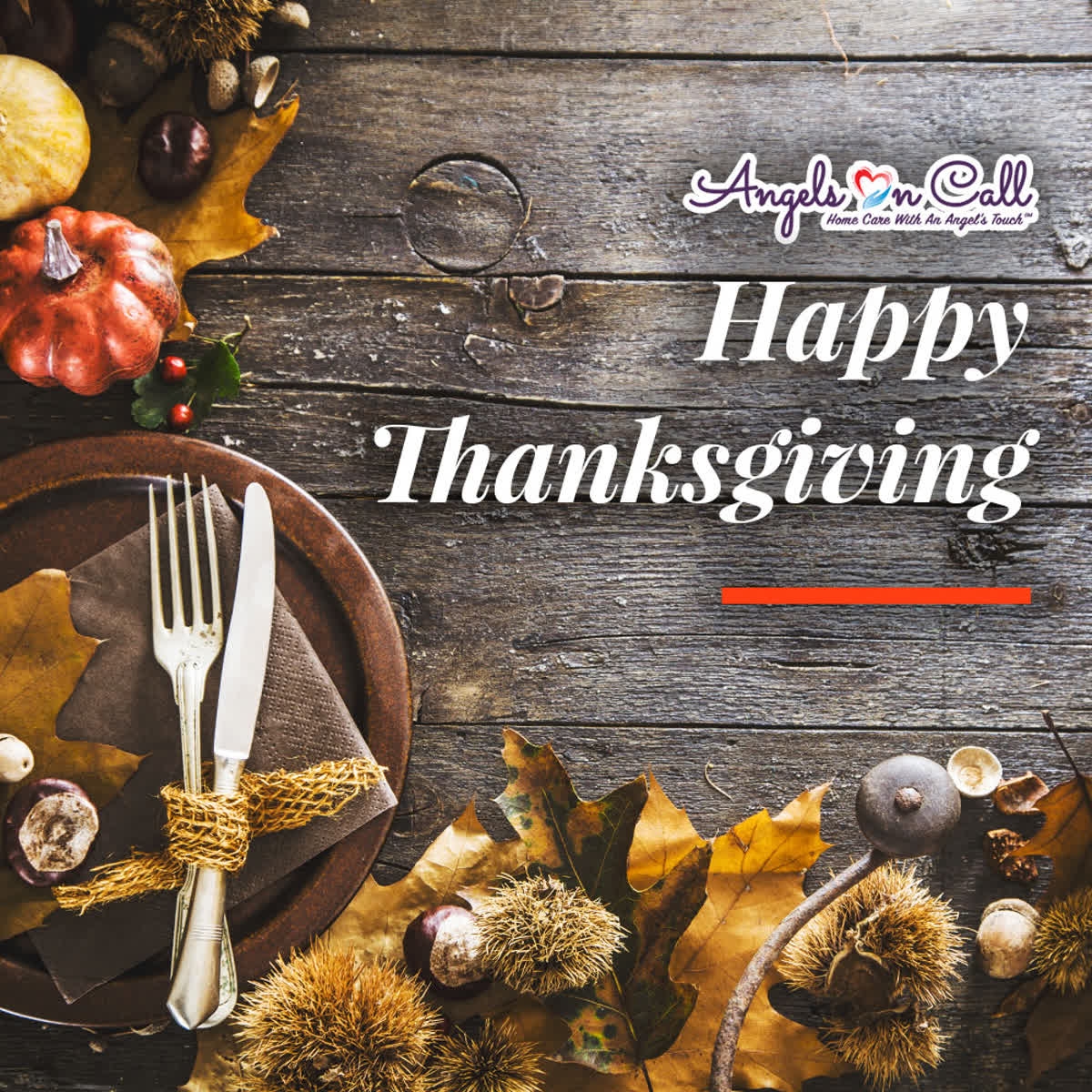 Gratitude unlocks the fullness of life. 🙏

Happy Thanksgiving to you and your loved ones! 💕