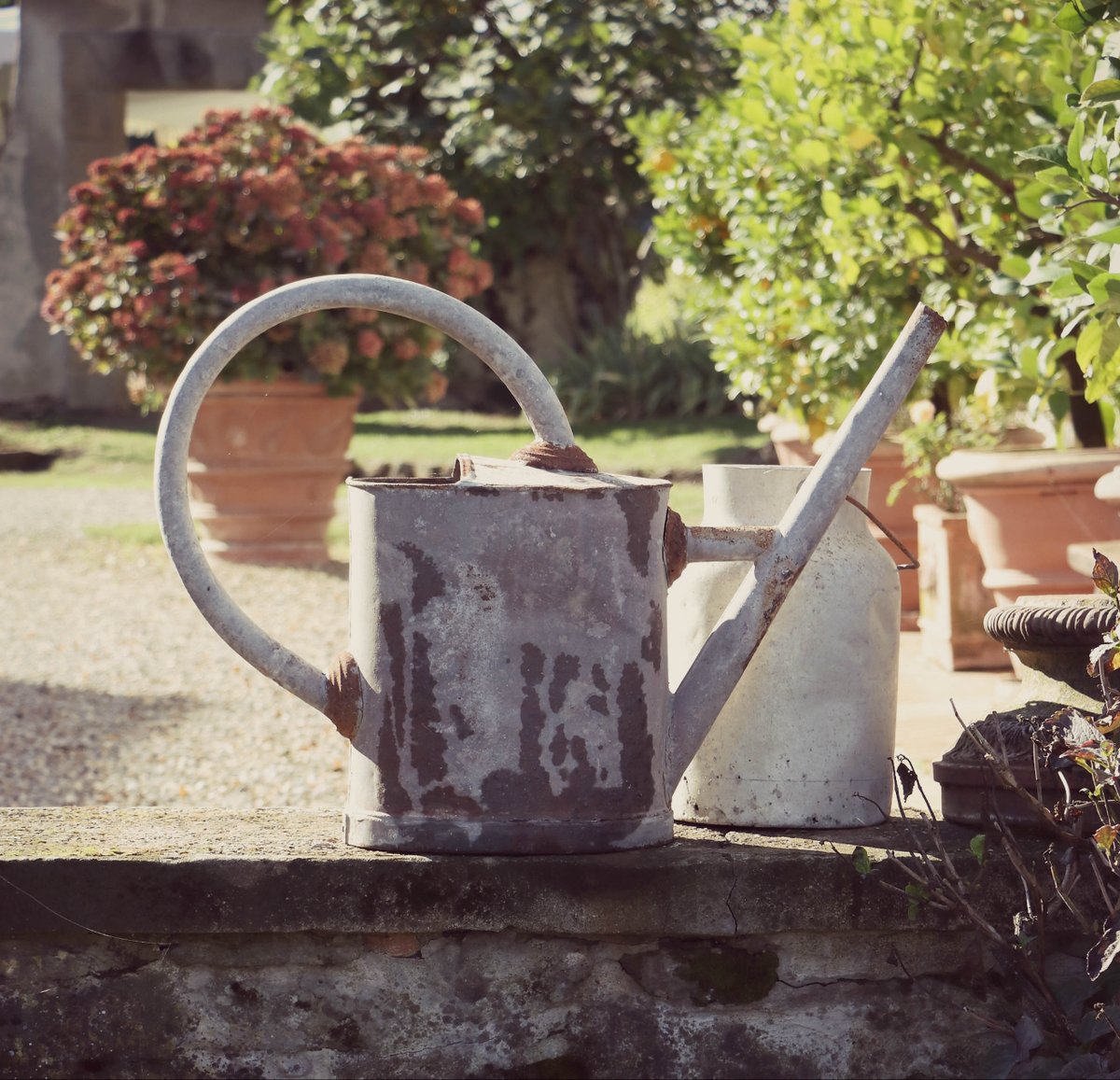 villa_campestri's tweet photo. Small charming details...
#villacampestri #oliveoilresort #experience #oliveoil #mugello #tuscany #instatravel #travelmemories #lifeofexploring #travelgram #resort #country #charming https://t.co/pn08FgQuB2
