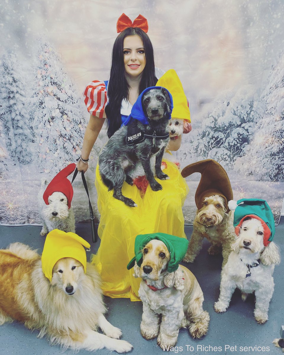 Full dress rehearsal this morning for this years panto! 😂❤️