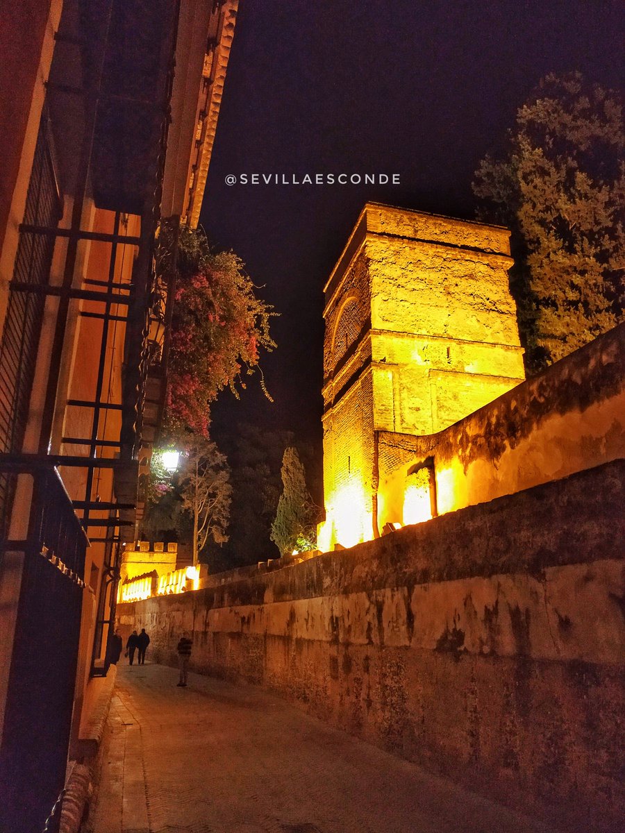SevillaEsconde's tweet photo. El callejón del agua se encuentra en el barrio de Santa Cruz. Este tramo de la muralla llevaba en su interior dos tubos que conducían el agua de los Caños de Carmona hasta los jardines de los Reales Alcázares. Romántico, íntimo, es un lugar mágico para soñar. #SevillaHoy ❤️❤️ https://t.co/xqSdg4ztl2