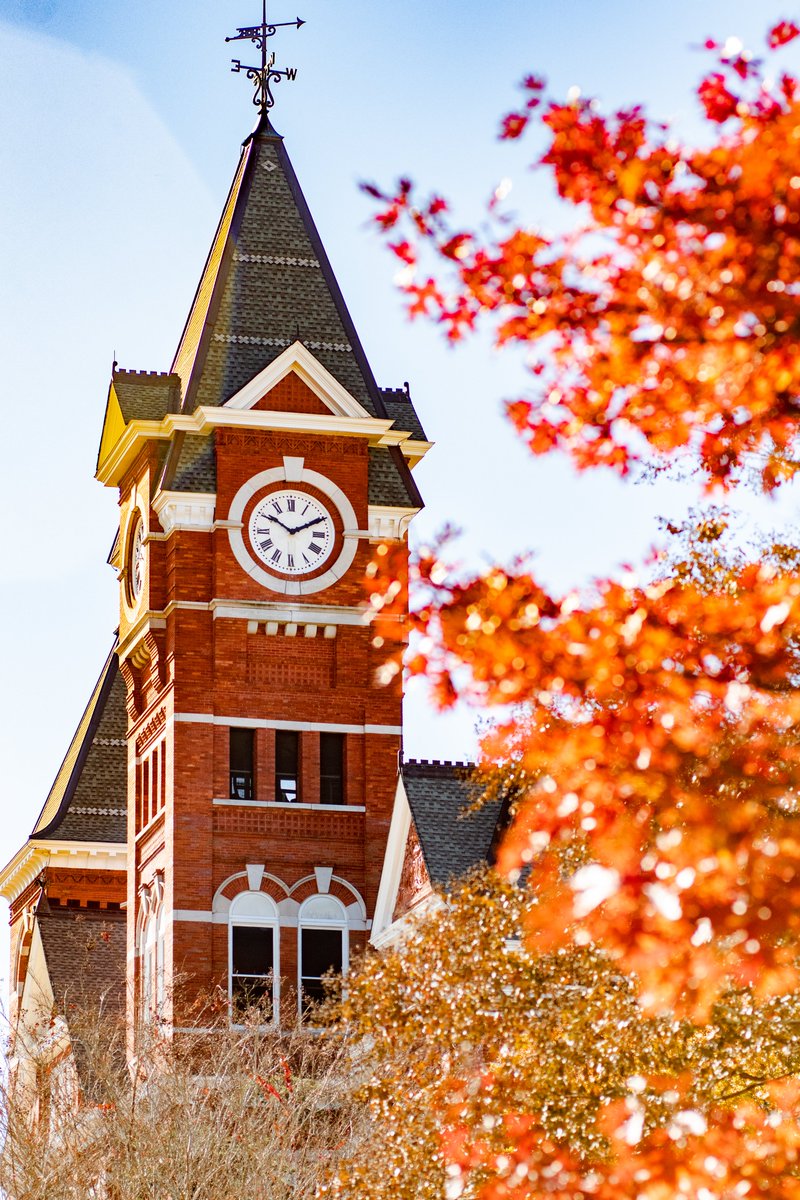 Happy Thanksgiving!🦃

We're thankful for our #Auburn Family each &amp; every day.🧡

#WarEagle