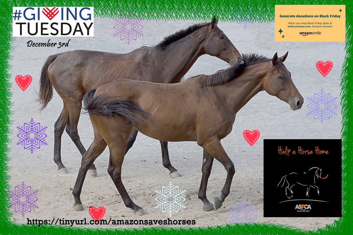 MetaPathogen's tweet image. HAPPY THANKSGIVING!!! Please donate to or adopt a pet from your local animal rescue!