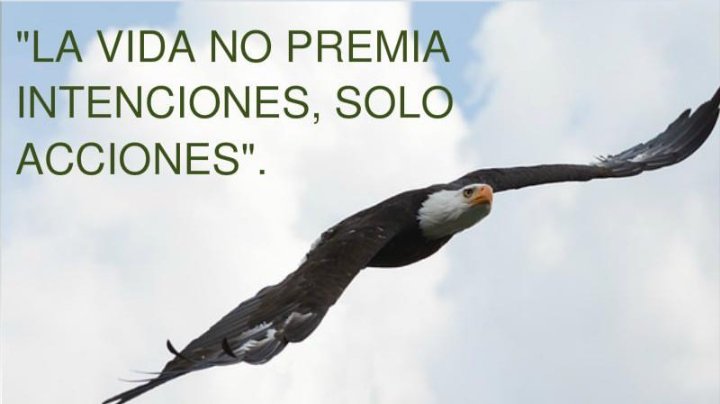 ojackeline's tweet photo. ¿Cómo olvidar lo que ha hecho el Señor por todos nosotros? #Avanzad #FelizJueves https://t.co/Q4GHLTZk2T