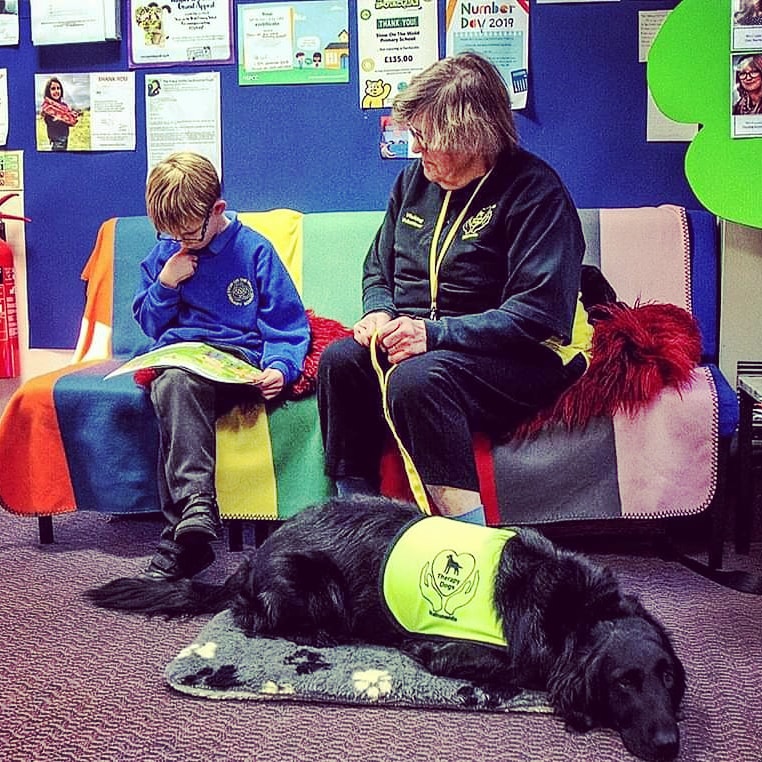 TherapyDogsUK's tweet photo. Nettle listens to local school children reading aloud to improve their confidence as part of our #PawsandRead scheme #therapydogsnationwide https://t.co/Db5NoIjLSL