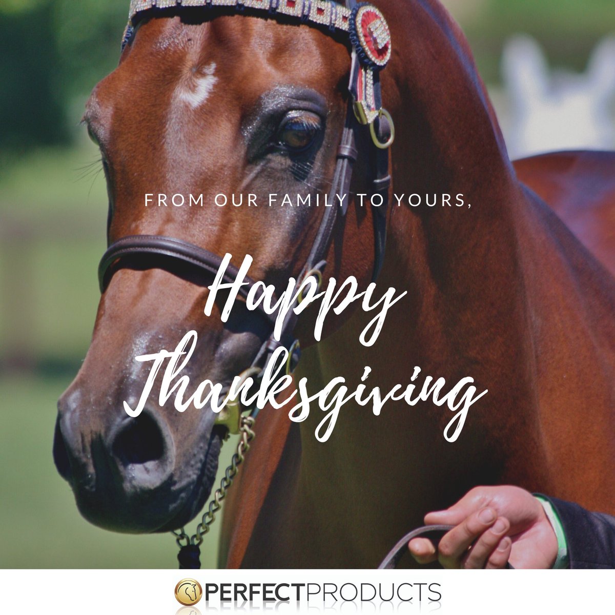PerfProductsEQ's tweet photo. Happy Thanksgiving from the Perfect Products team! 🐴🍁🍃
#PerfectProductsEQ #PerfectPrepEQ https://t.co/tUyv9U48Sh