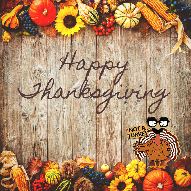 VisionaryEC_CT's tweet photo. Wishing you all a HAPPY THANKSGIVING from all of us at Visionary. We are thankful for all of our patients &amp; customers.

PS- We hope you can find your turkey this year in their new lovely frames. 😉👓🦃 https://t.co/kSoVadERN8