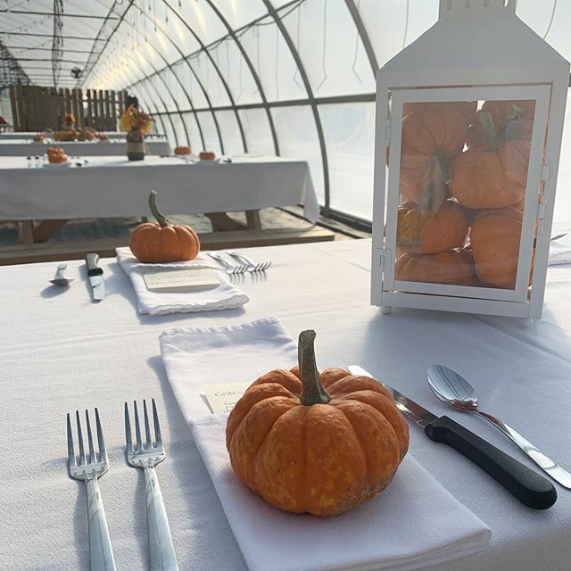 GrittsFarm's tweet photo. Happy Thanksgiving from our farm to your families! We’re grateful for so much. We hope you all are blessed with laughter, warm hearts, and full bellies today! Don’t forget to thank a farmer for your food today 🍂🦃 https://t.co/j1kkMfJ1Fb
