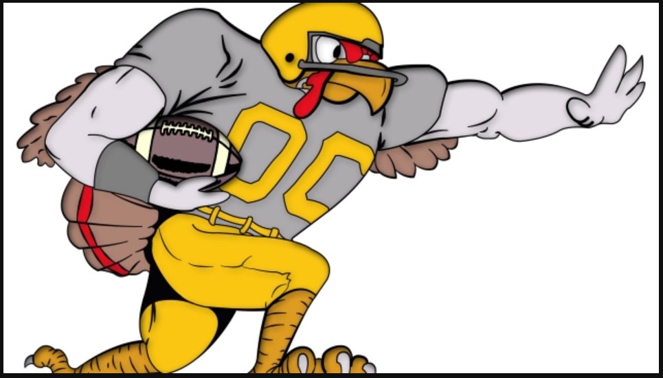 LightningInVA's tweet image. #HappyThanksgiving from #CompEdge! We hope you have a wonderful day! Stay active and watch out for those #FoodComas!