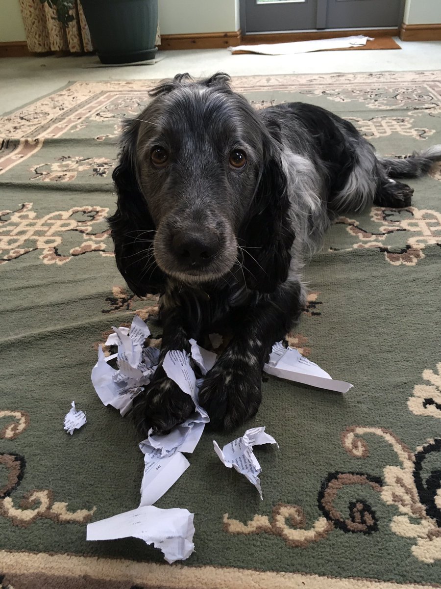 Chris Spray tweet media