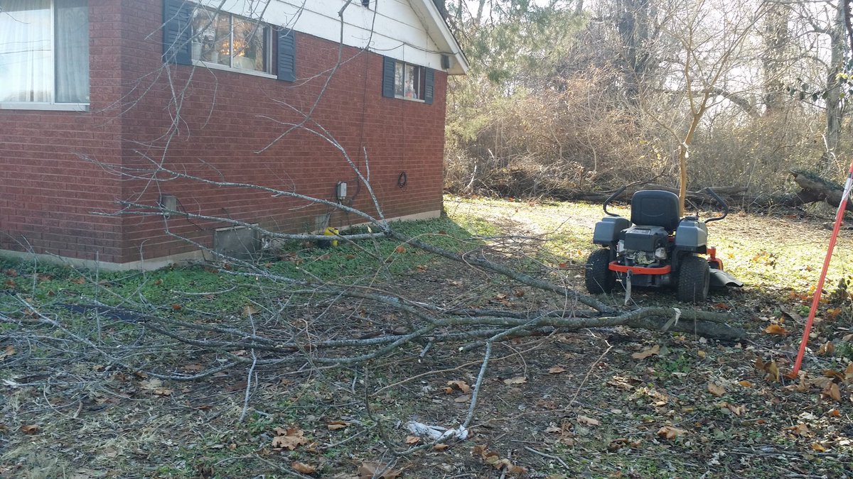 On the brush point, these blew out of a dead tree in the 50 mph gusts(Before and after)