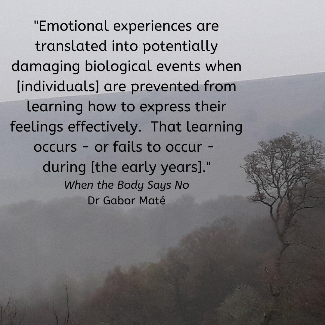 Equenergy: W·I·L·D Wellbeing tweet media