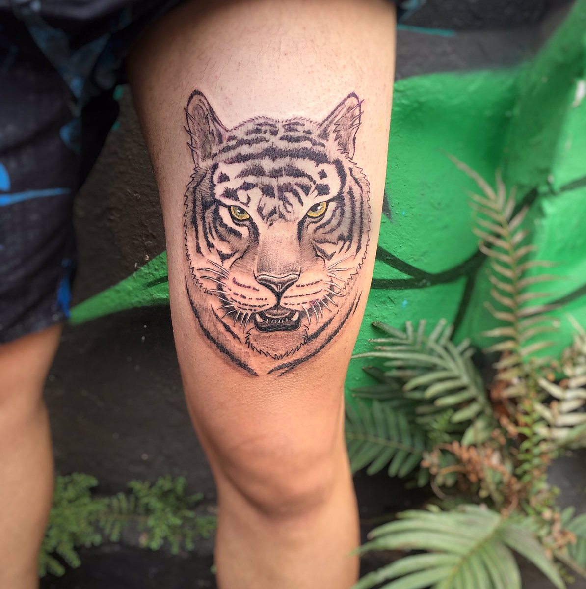 jooaoalves's tweet image. Tatuagi de Trigre
#tattoo