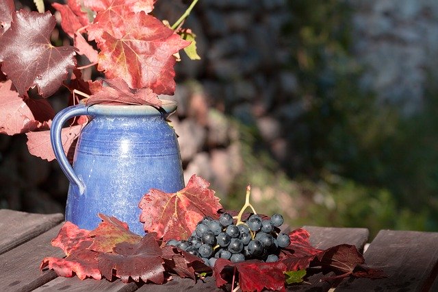 letsgivewater's tweet photo. Happy Thanksgiving! We are grateful for our charitable partners, @Water and @livingwater. Thank you for all that you do! 
.
.
#water #letsgivewater #watercrisis #thankful #thanksgiving #happythanksgiving https://t.co/D5VPltydHT