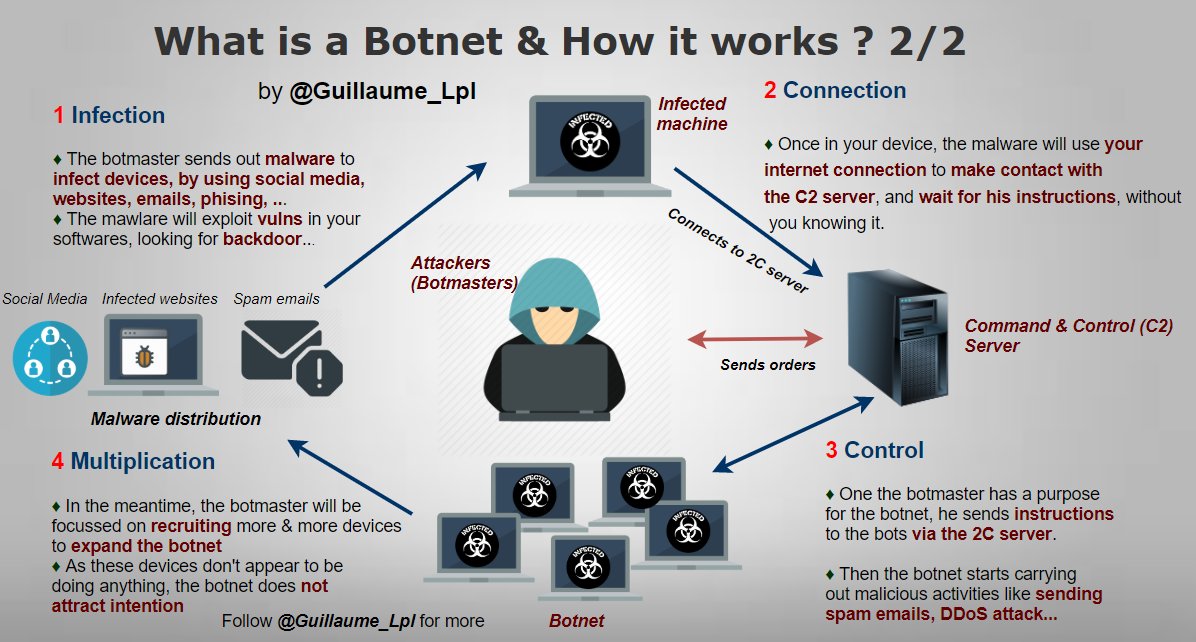 What is a Botnet & How it works?