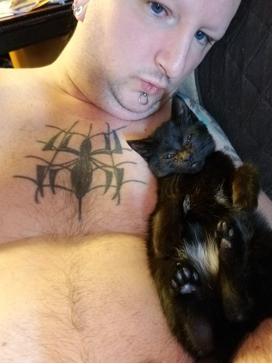 CookingGoth's tweet photo. Sweet feral baby kitty girl. I finally got her to purr and play. I'm calling Bastet for now. #feral #cats #kittens #black #bastet #goddess https://t.co/y5bbpYvp1E