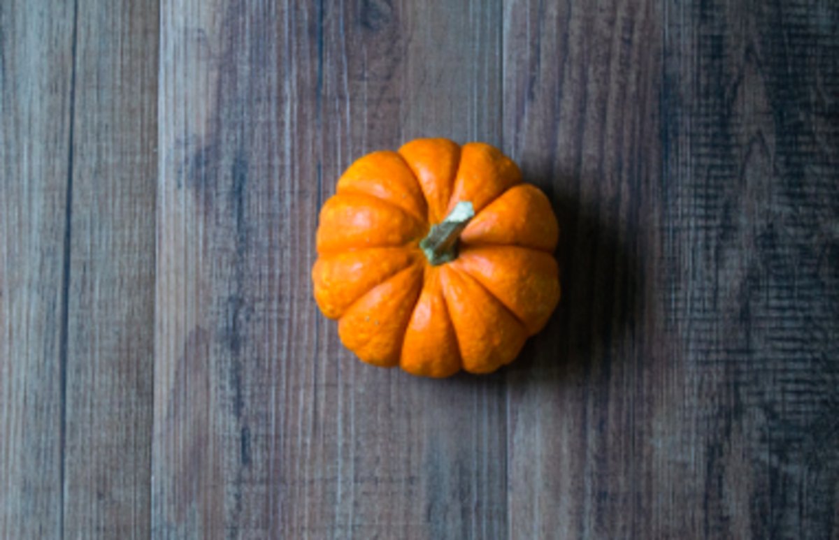 It wouldn't be #Thanksgiving without the pumpkin pie. Enjoy!