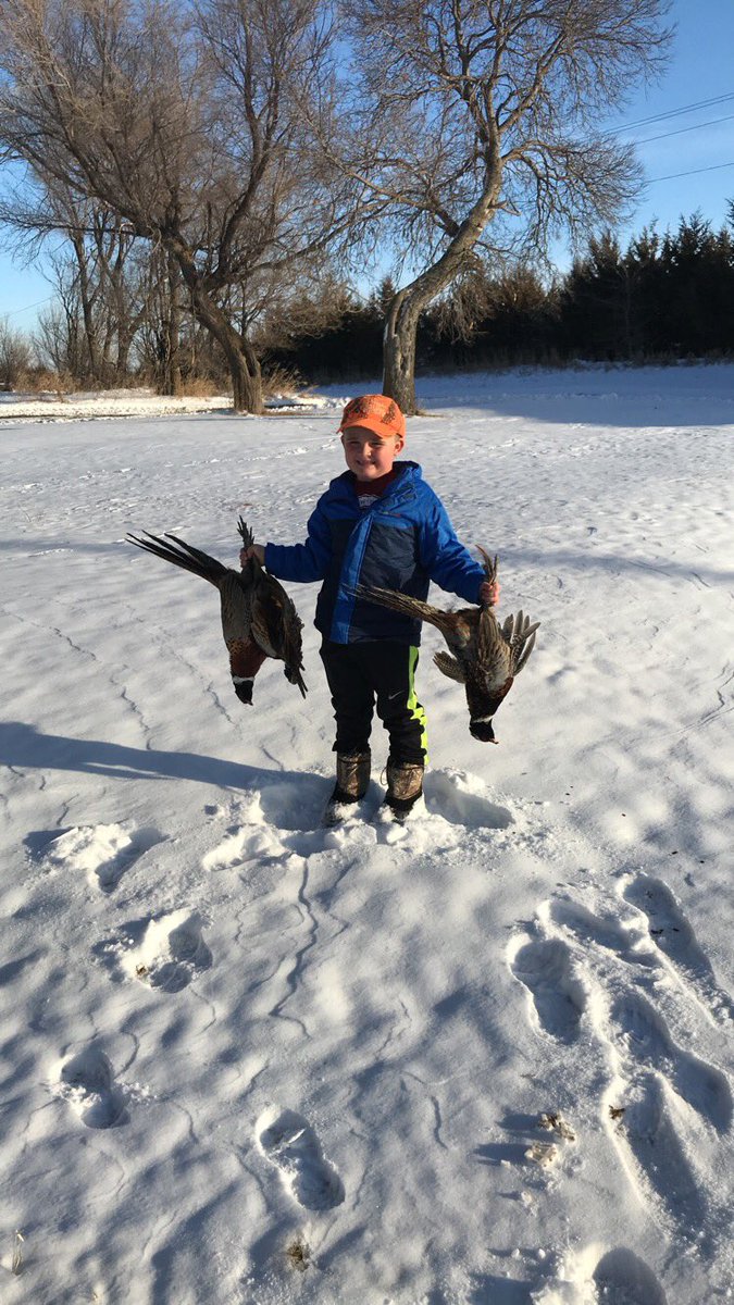A34Ray's tweet image. This kid loves to hunt!! We got a limit yesterday and had them for supper.@pheasants4ever