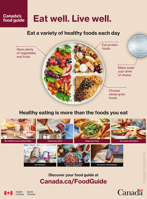 OCSNPUOIT's tweet photo. Mindful eating, cooking tips, recipes and advice on how to read food labels are just some of the many features the new Canada's Food Guide offers. If you haven't checked it out yet be sure to click the link below! https://t.co/ANiDH8RBJ8 https://t.co/vM3jkFEDXk