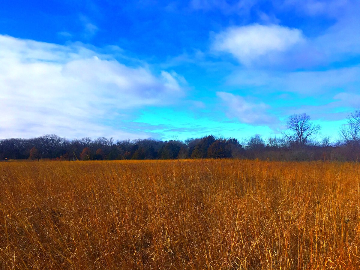 dctrail's tweet photo. Happy Thanksgiving! https://t.co/DEr92HH9mY