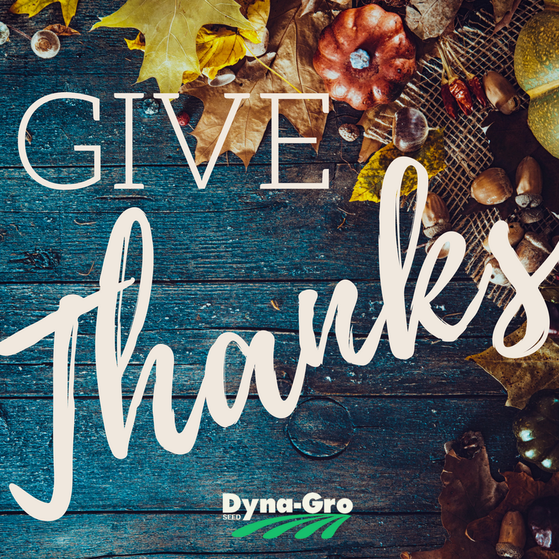 Dyna-Gro Seed tweet media