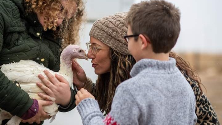 DxEverywhere's tweet photo. Transform your Thanksgiving by speaking up & taking action for the turkeys who want to be with their families, just like us. #TransformThanksgiving
https://t.co/v2omRbSjia https://t.co/dmSHCXk3HA