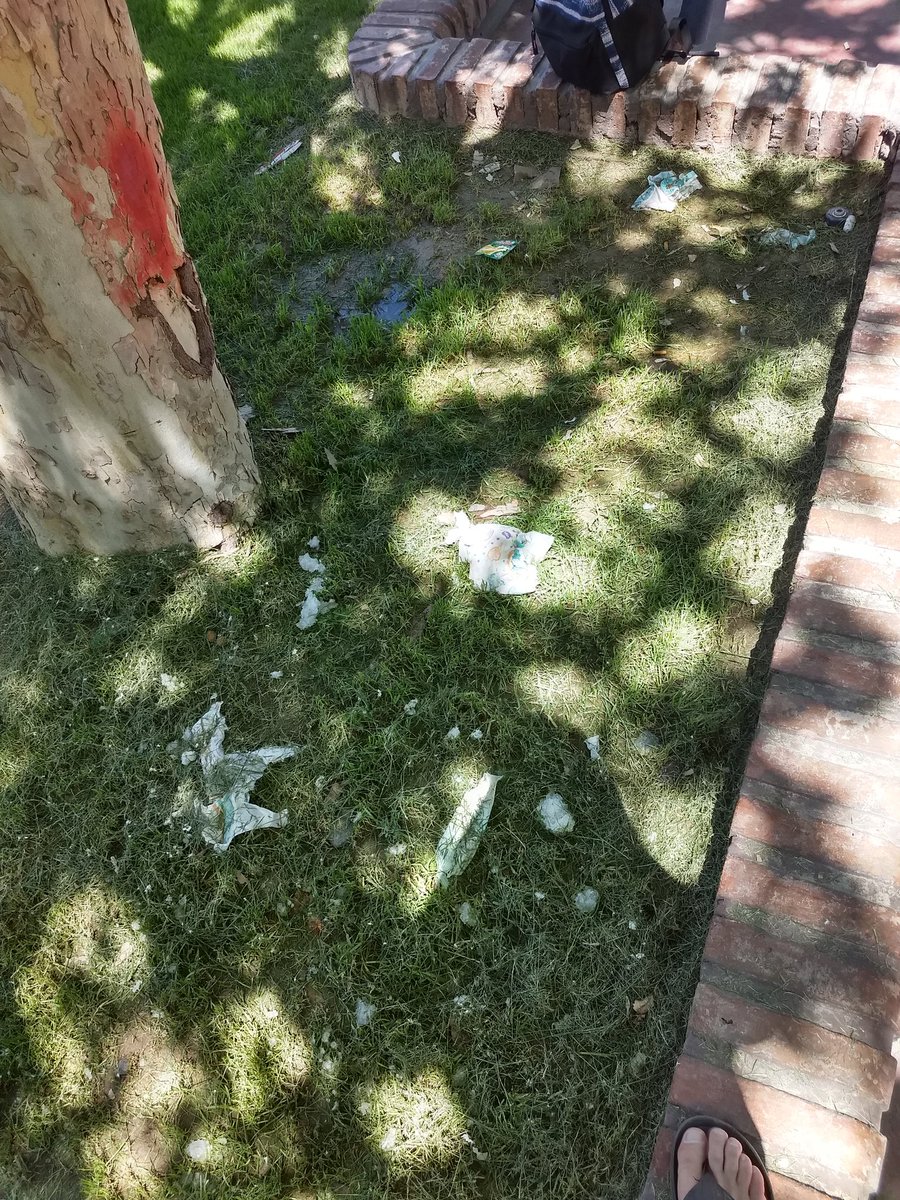 Estuvimos secando la mente durante bastante tiempo con la plaza de angaco y cuando la tienen no son capaces de tirar su propia mugre a un tacho de basura los cuales hay y de sobra. 🤦
Falta de educación y sentido común