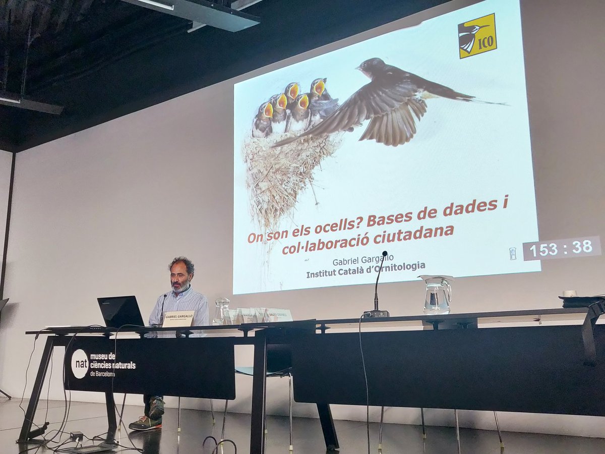 ornitobio's tweet image. En Gabriel Gargallo, de l'@ICOcells, ens ha parlat sobre els projectes de ciència ciutadana de l'ICO i ha presentat el nou portal visornius.cat a la Jornada sobre #FaunaProtegida i edificis #PATT2019