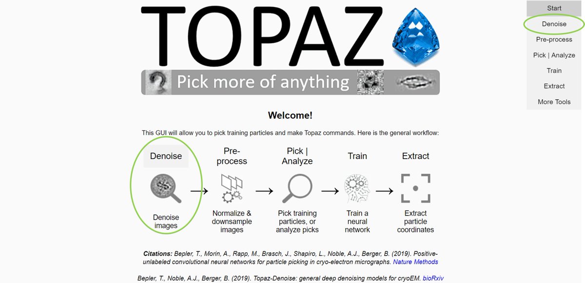 Topaz v0.2.3 is out! Thanks to all the testers and developers who helped get Topaz to where it is today.

The update adds the general denoising models in the Topaz-Denoise preprint, a pre-trained picking model, &amp; an updated GUI. cb.csail.mit.edu/cb/topaz/ emgweb.nysbc.org/topaz.html