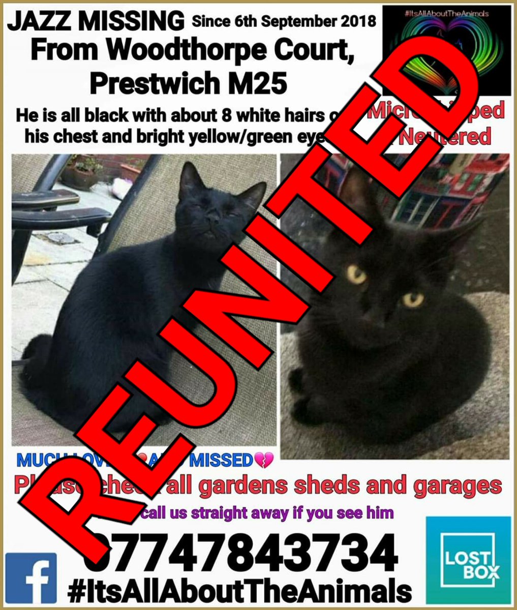 Angela Hoy (@hoy_angiehoy) on Twitter photo Absolutely over the moooooooon Jazz is homeeeeeee never ever stop looking you never know when your baby will be found stay safe gorgeous Jazz welcome home 😻 XXXX <a href="/IAATA2016/">IAATA</a> <a href="/Chipcheckchops/">Chops</a> <a href="/sammeegiles/">Samantha Giles (blue tick)</a> <a href="/MissingPetsGB/">Missing Pets GB</a> <a href="/SAMPAuk_/">Stolen&Missing Pets</a> <a href="/MissGAtkinson/">Gemma Atkinson</a> <a href="/rosiedoc666/">Rosie Doc</a> Absolutely over the moooooooon Jazz is homeeeeeee never ever stop looking you never know when your baby will be found stay safe gorgeous Jazz welcome home 😻 XXXX <a href="/IAATA2016/">IAATA</a> <a href="/Chipcheckchops/">Chops</a> <a href="/sammeegiles/">Samantha Giles (blue tick)</a> <a href="/MissingPetsGB/">Missing Pets GB</a> <a href="/SAMPAuk_/">Stolen&Missing Pets</a> <a href="/MissGAtkinson/">Gemma Atkinson</a> <a href="/rosiedoc666/">Rosie Doc</a>