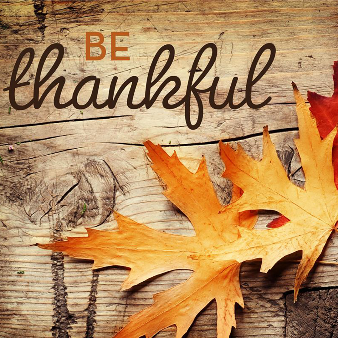 Happy Thanksgiving! We hope you are enjoying the time with loved ones.