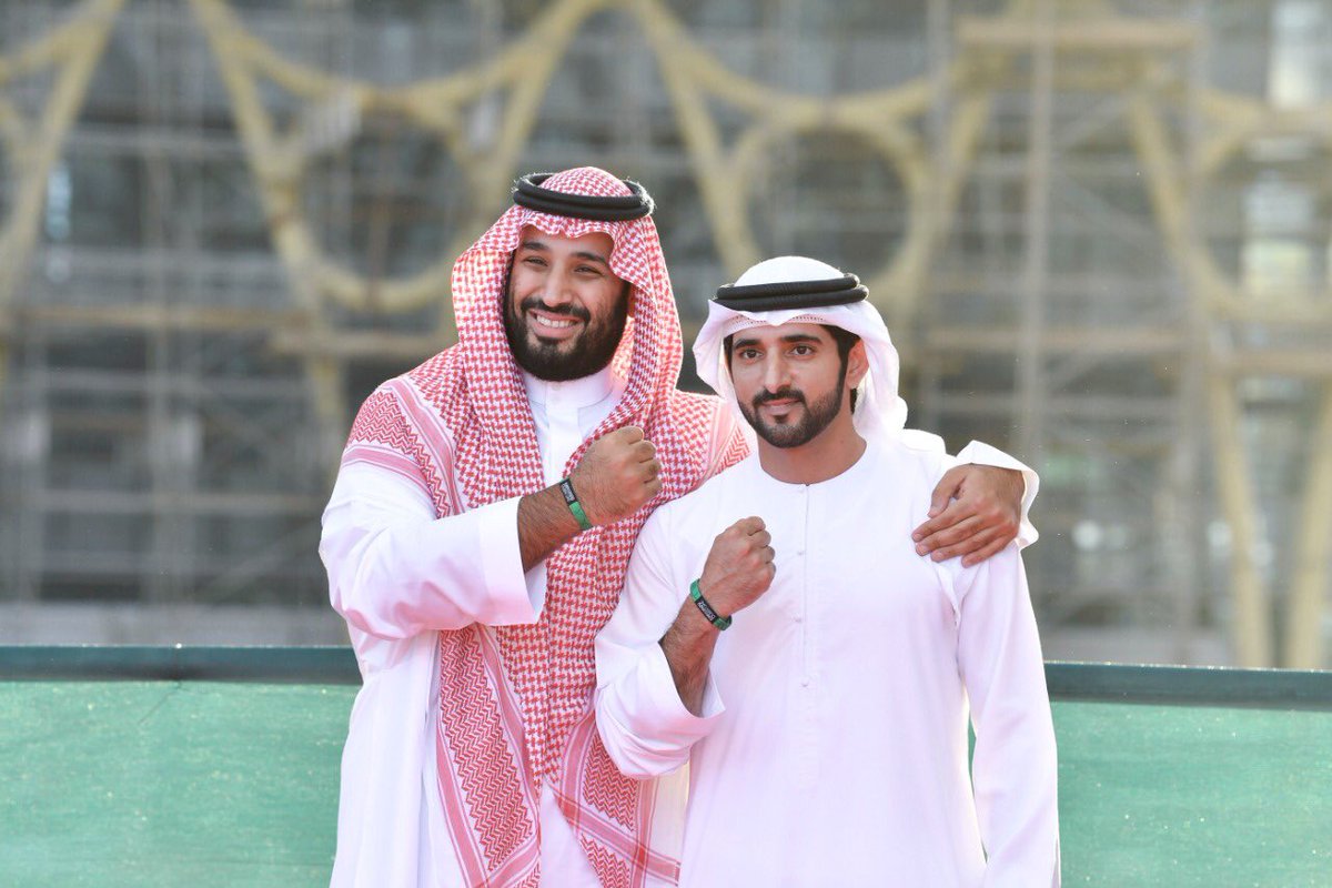 Hamdan bin MohammedVarmennettu.