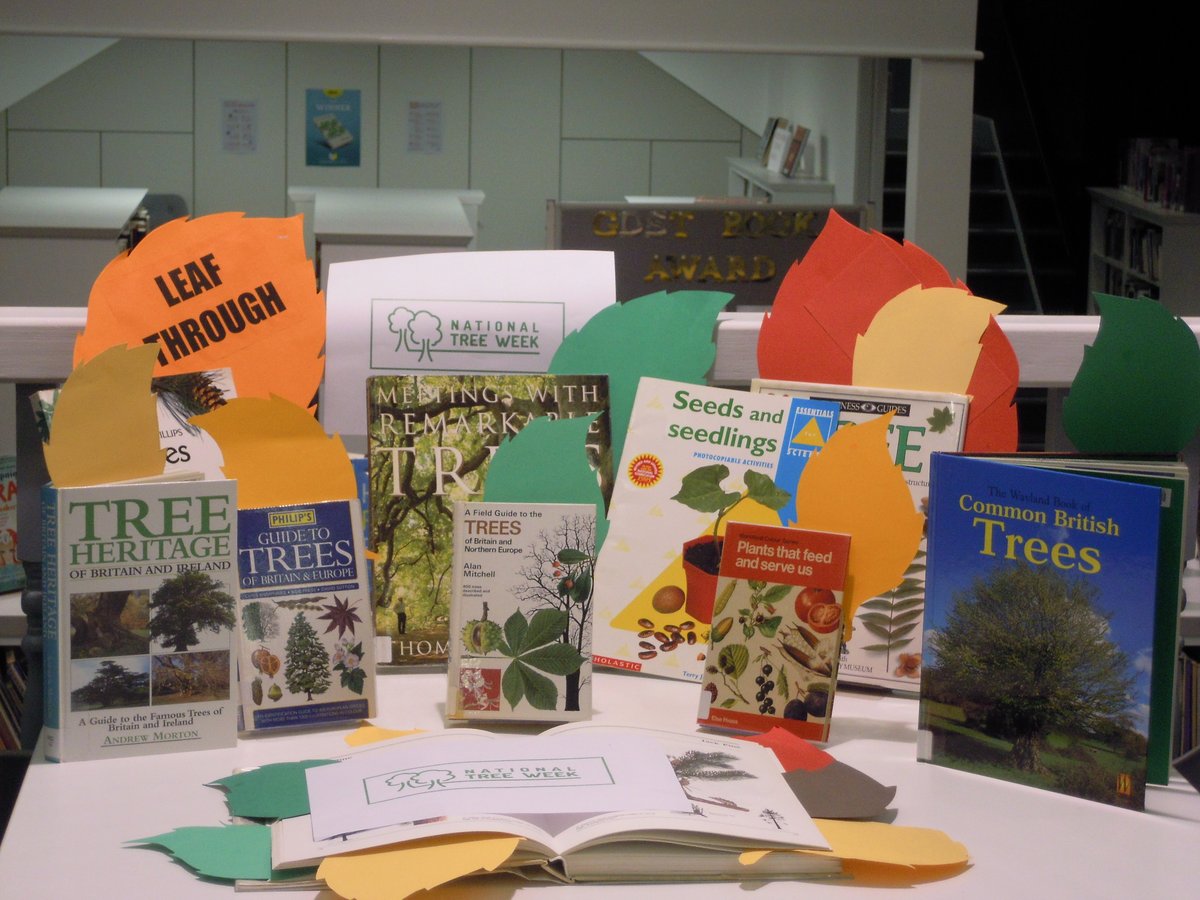 Celebrating #NationalTreeWeek <a href="/NorthwoodGDST/">Northwood College for Girls</a>