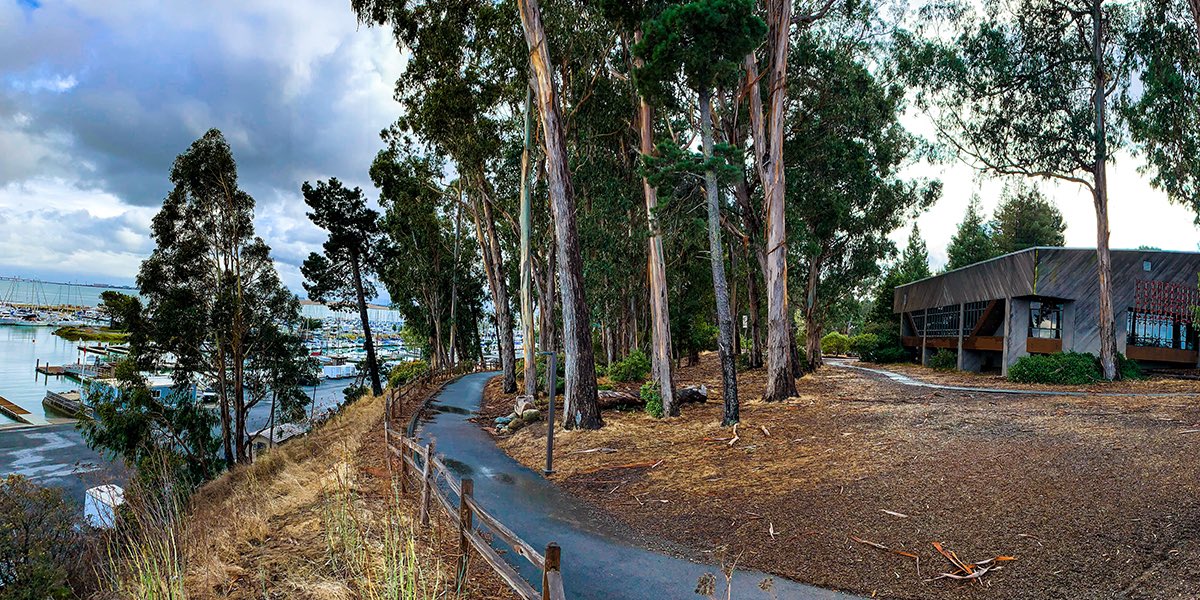 sanmateofocus's tweet photo. Work up a turkey appetite with a brisk #coyotepoint walk listening to today’s San Mateo Focus podcast about its history...or not #itsfreezingoutside #podcastandchill #sanmateo @SMCParks https://t.co/PXxTtnX0M1