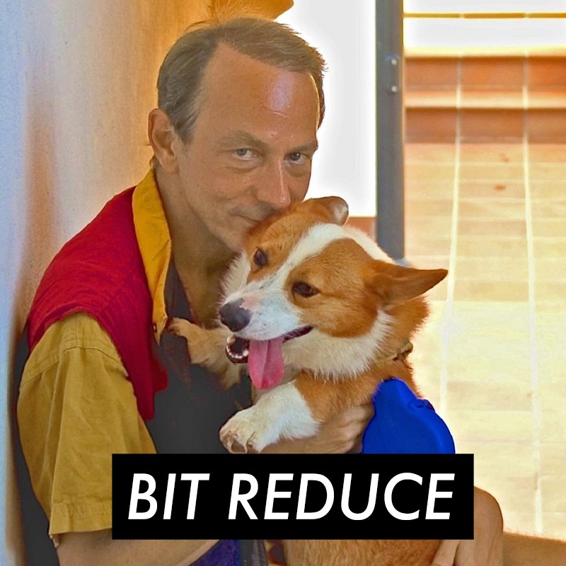 Bit Reduce (@bitreduce_it) on Twitter photo 