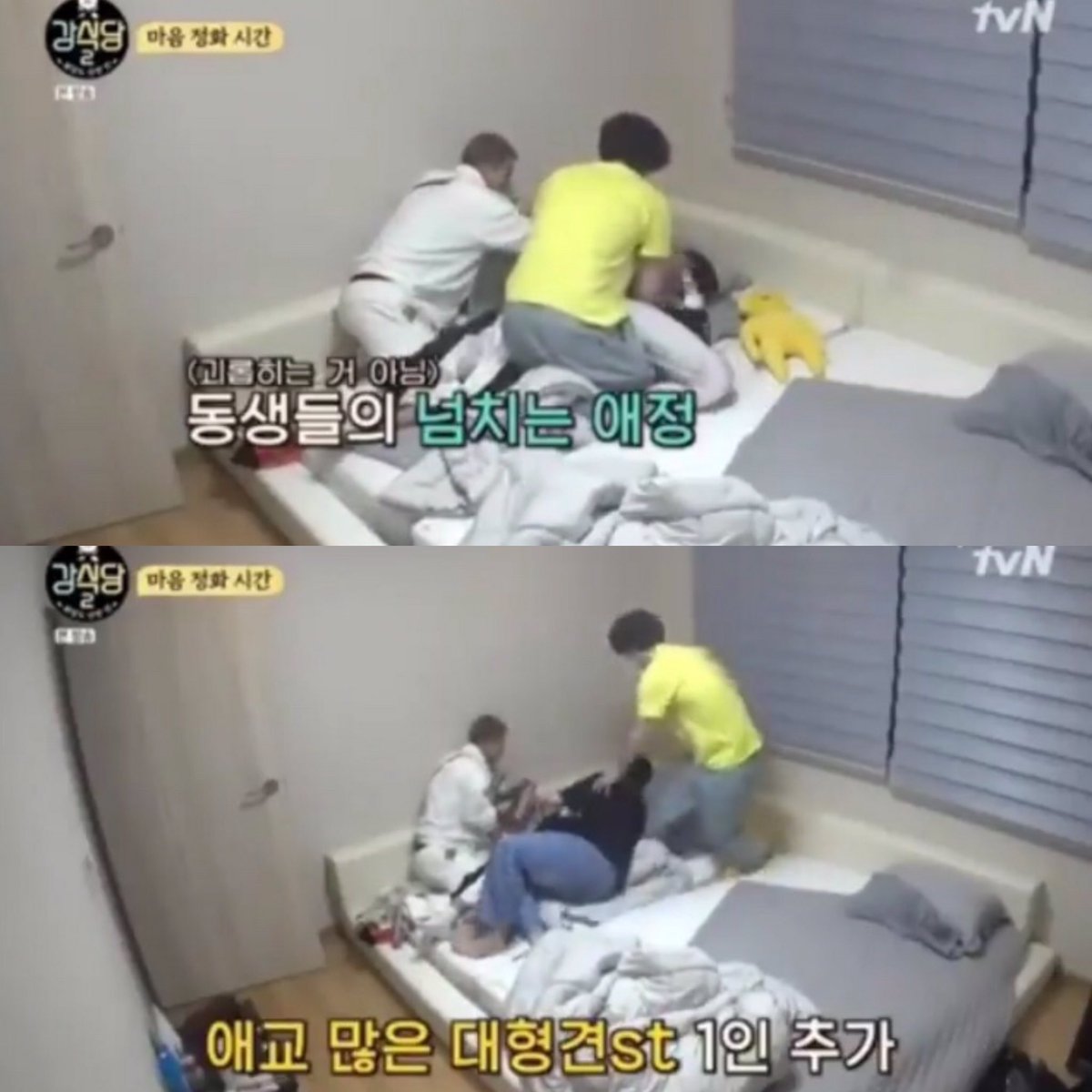 은지원 쓸데없는 정보봇 tweet media