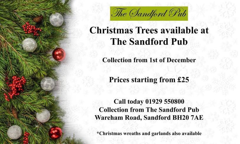 SandfordPub's tweet photo. Christmas Trees arrived today. Hurry and get yours. 
#Christmas #ChristmasTree #Sandford #Dorset #SandfordPub https://t.co/38dxvAG4Vx