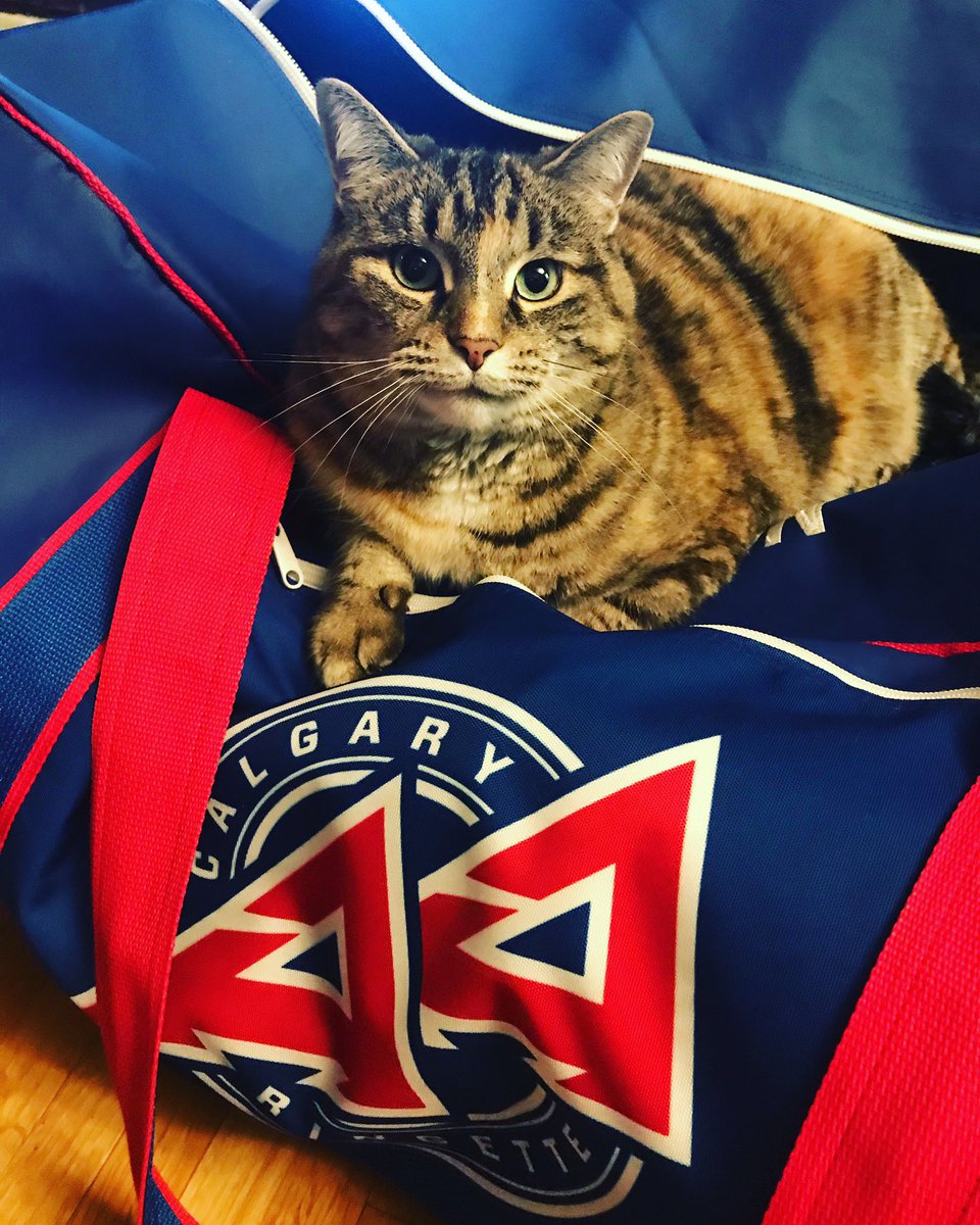 CalgaryU14AA3's tweet photo. All packed up! Good luck and safe travels to all the Calgary teams heading to @SpiritofWinter3 !
#packtheessentials #roadtrip #patches https://t.co/vTWY81D1YN