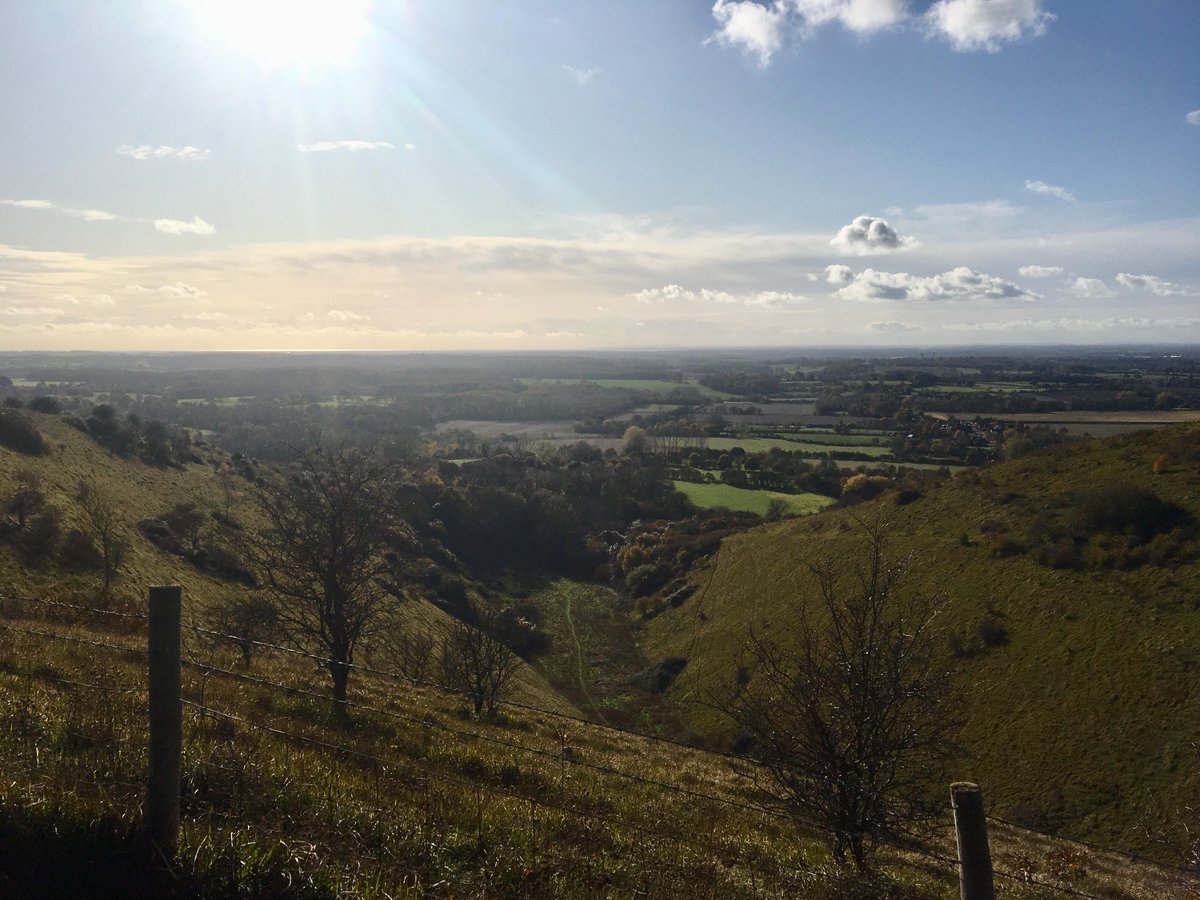 Well Projects tweet media