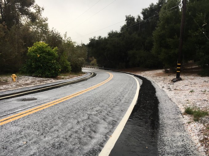 View image on Twitter