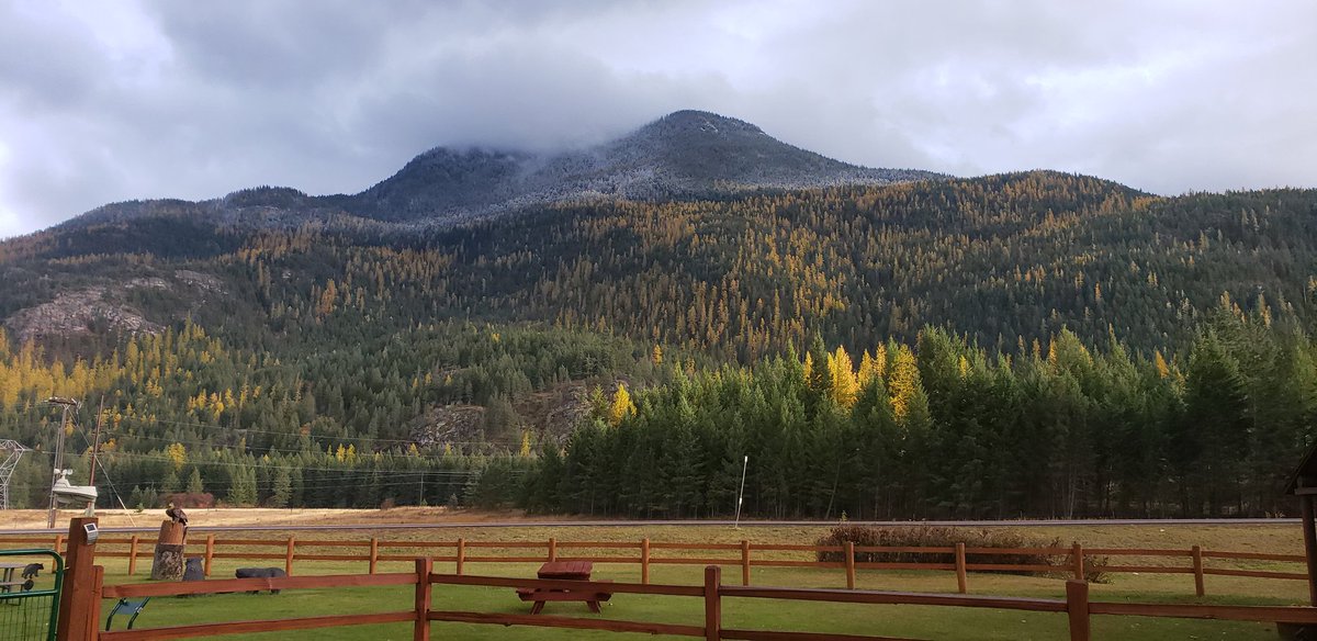 JoeHauser's tweet image. Happy Thanksgiving to all.