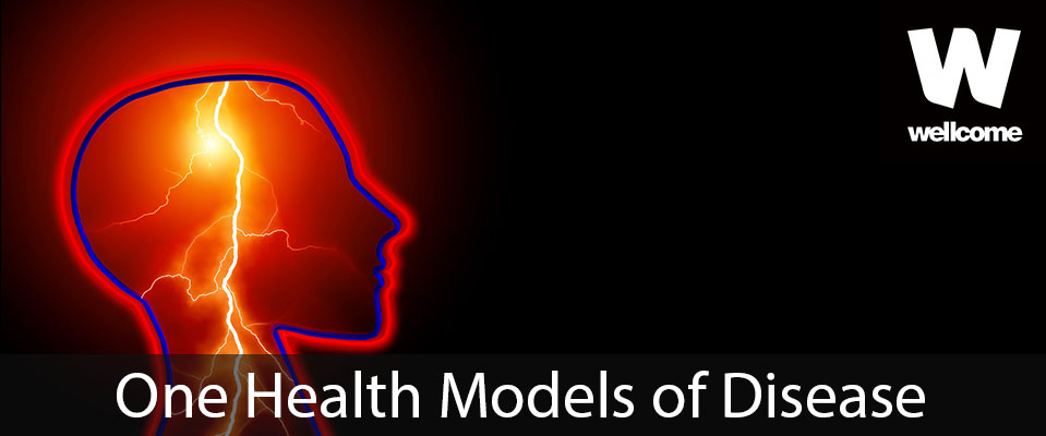 Edinburgh Infectious Diseases (@edin_eid) on Twitter photo New <a href="/wellcometrust/">Wellcome</a> 4-year PhD programme in One Health Models of Disease <a href="/EdinburghUni/">The University of Edinburgh</a> now recruiting!! Tackling neurodegenerative, cardiovascular, developmental, and infectious diseases of humans and animals. edin.ac/2nQzrTy <a href="/jrossfitz/">Ross Fitzgerald</a> <a href="/PickersgillM/">Martyn Pickersgill</a> <a href="/roslininstitute/">The Roslin Institute</a> New <a href="/wellcometrust/">Wellcome</a> 4-year PhD programme in One Health Models of Disease <a href="/EdinburghUni/">The University of Edinburgh</a> now recruiting!! Tackling neurodegenerative, cardiovascular, developmental, and infectious diseases of humans and animals. edin.ac/2nQzrTy <a href="/jrossfitz/">Ross Fitzgerald</a> <a href="/PickersgillM/">Martyn Pickersgill</a> <a href="/roslininstitute/">The Roslin Institute</a>