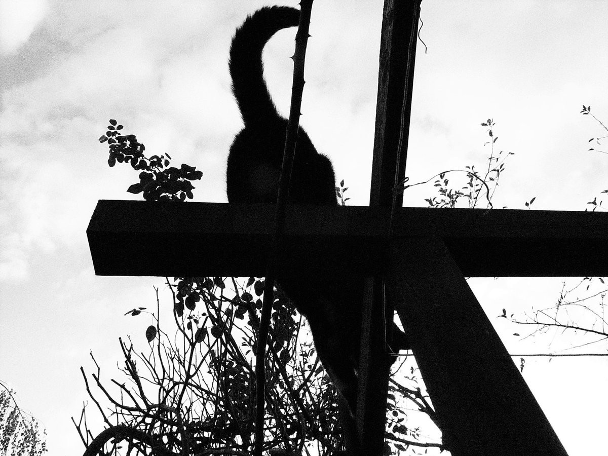 Paula & Donny (@paulaunddonny) on Twitter photo 