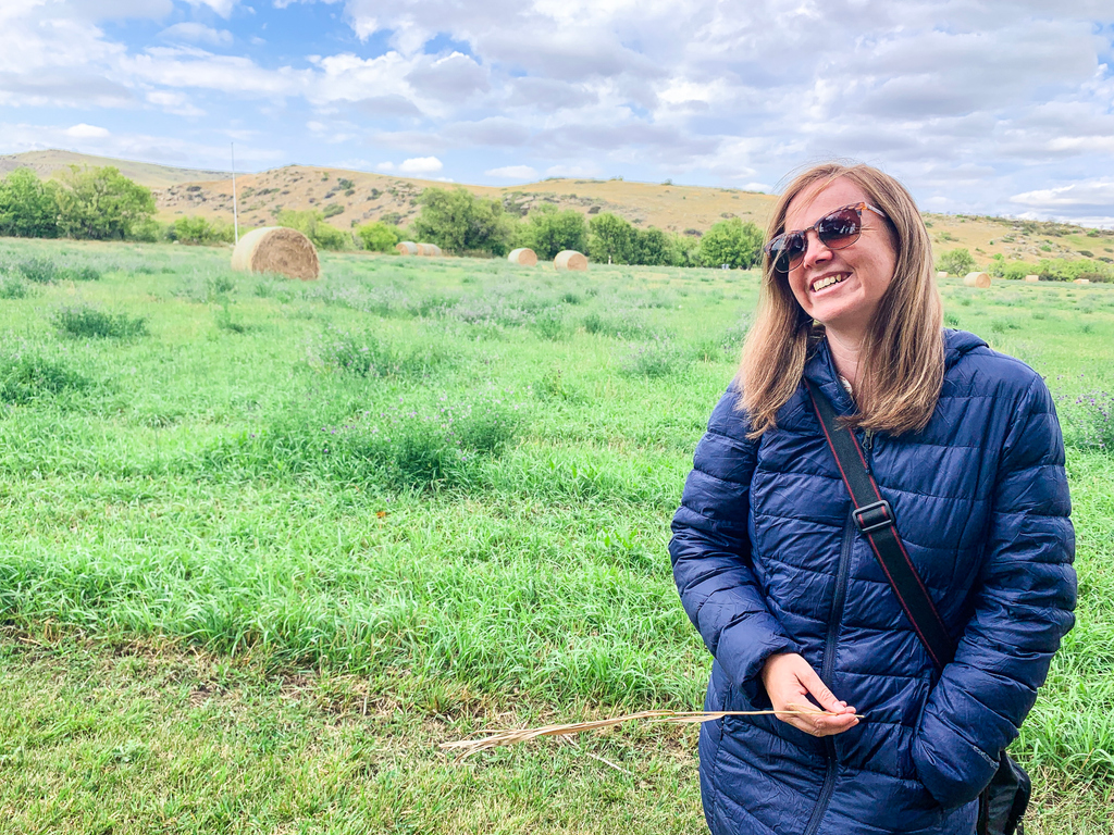 Sanityfound tweet media