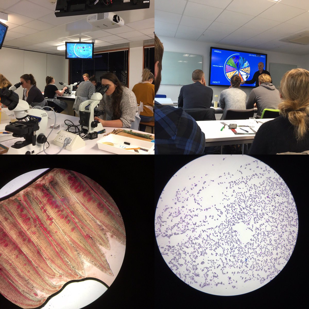 CPD course - fish health &amp; welfare.  Day 1 - informative &amp; thoroughly enjoyable.  Looking forward to day 2