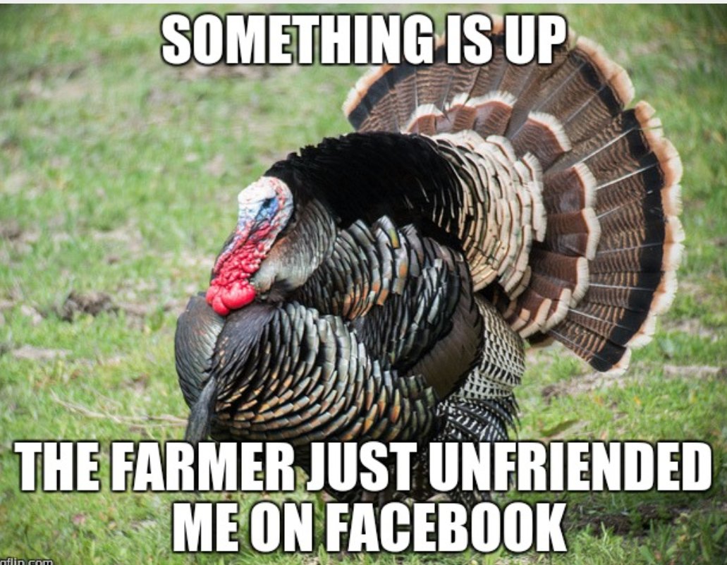 MaximoApex's tweet photo. Happy Thanksgivings Everyone #UNBROKEN #bloodsweatandtears https://t.co/TyLz27E02T