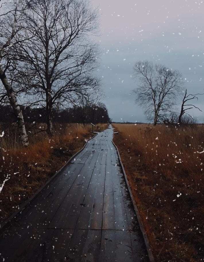 mitMirGermania's tweet image. Tranqui panki...
#winteriscomming