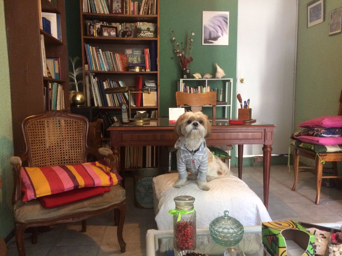 Lightisenergy's tweet image. Hoy me toca sesión con mi psicóloga y pues lo mejor es el asistente 😍