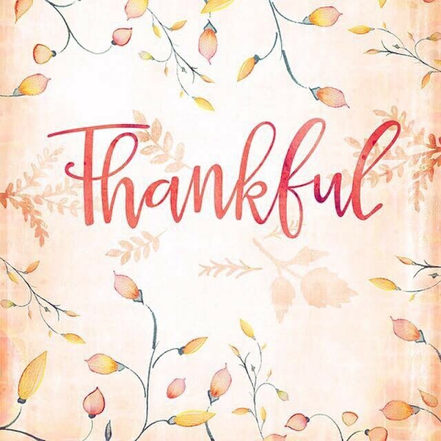 tracibixby's tweet photo. May your day be filled with love and joy. Oh and pumpkin pie too! https://t.co/VZpv7lJt2Y
