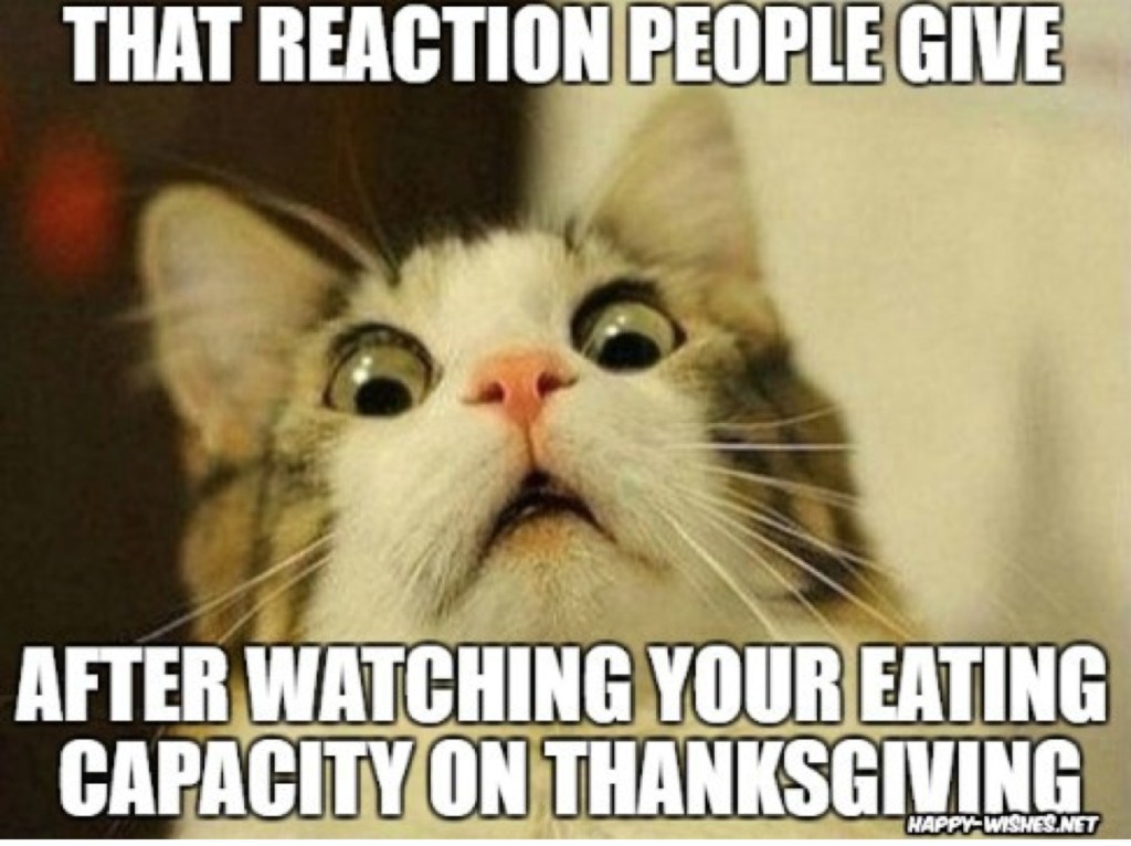 Maranda0808's tweet photo. Happy Thanksgiving from me to you! Those who know me knows I LOVE to eat and Thanksgiving is my favorite holiday. I hope you all have a wonderful day filled with your loved ones and full plates. #fullplates #thanksgivingpants #gobblegobble https://t.co/kxQm9lmnKL
