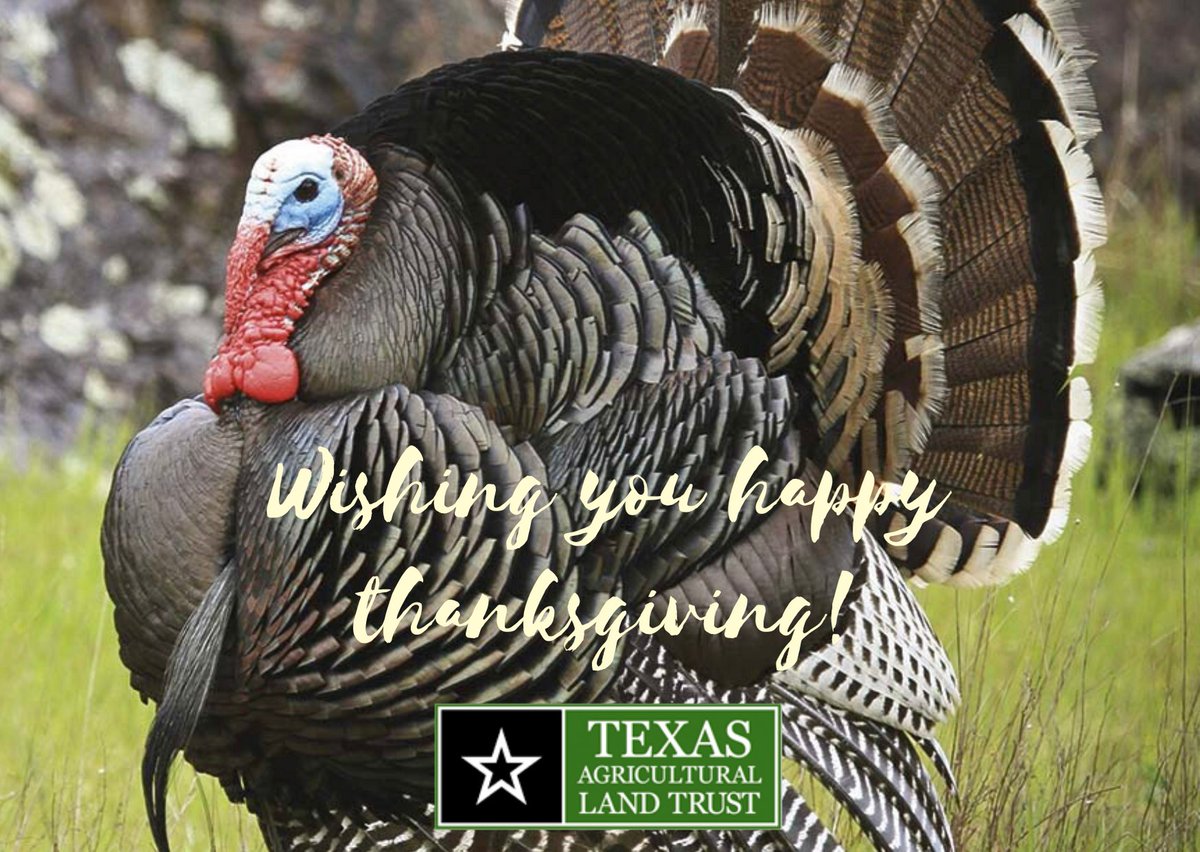Happy Thanksgiving from everyone at TALT! 

#txaglandtrust #workinglands #agriculture #naturalresources #landowner #ranching #conservation #wildlifeconservation #ranching #ranchlife #conservationeasement #rural #texasranches #texaswildlife #farming #happythanksgiving